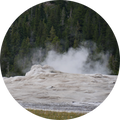 Sulfur Spring Extract